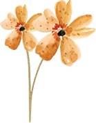 Floral divider