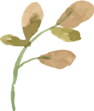 Floral divider